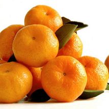 Shatian orange