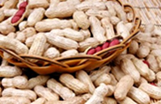 Dried peanut