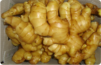 Fresh Ginger