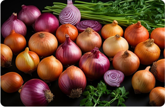 Shallot