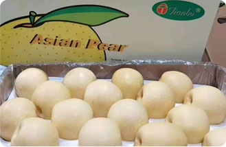 Asian Pear