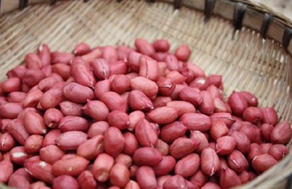 Peanut