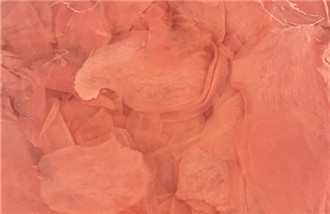 Sushi ginger slices